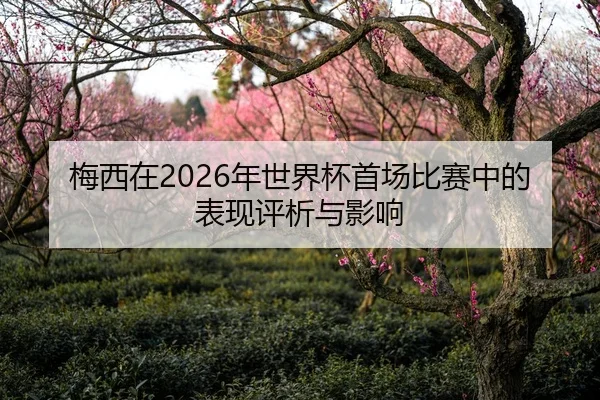 梅西在2026年世界杯首场比赛中的表现评析与影响
