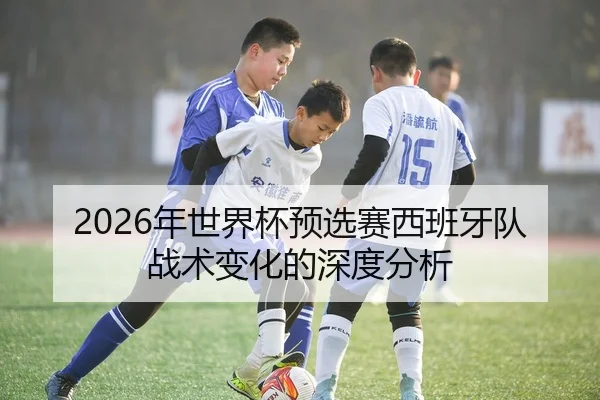 2026年世界杯预选赛西班牙队战术变化的深度分析